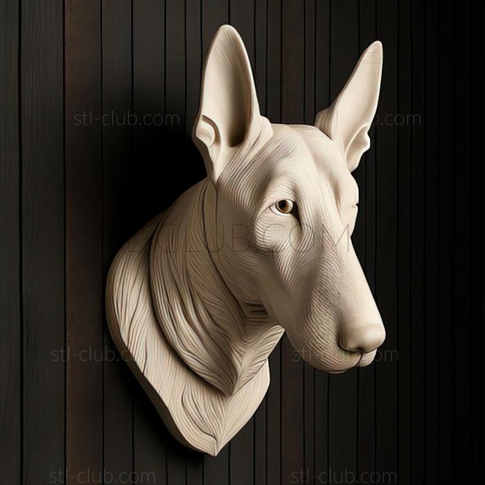 st Bull Terrier dog